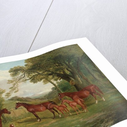 The Streatlam Stud, Mares and Foals, 1836 by John Frederick Herring Snr