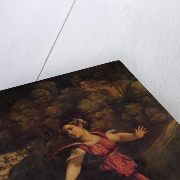 A woman fleeing on a wooded path, c.1520s by Dosso Dossi