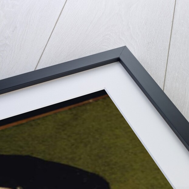 Portrait of a man, presumably Ercole II d'Este by Nicolo dell' Abate