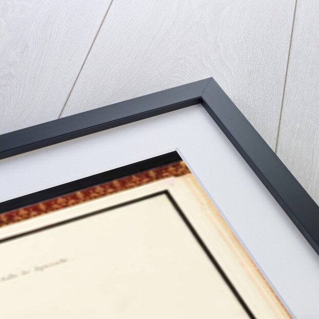 Plafond de la salle de spectacle, from Recueil des plans du Petit Trianon by Richard Mique, 1781 by Richard Mique