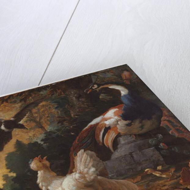 A peacock, poultry and a magpie in a landscape, 1720 by Abraham Bisschop