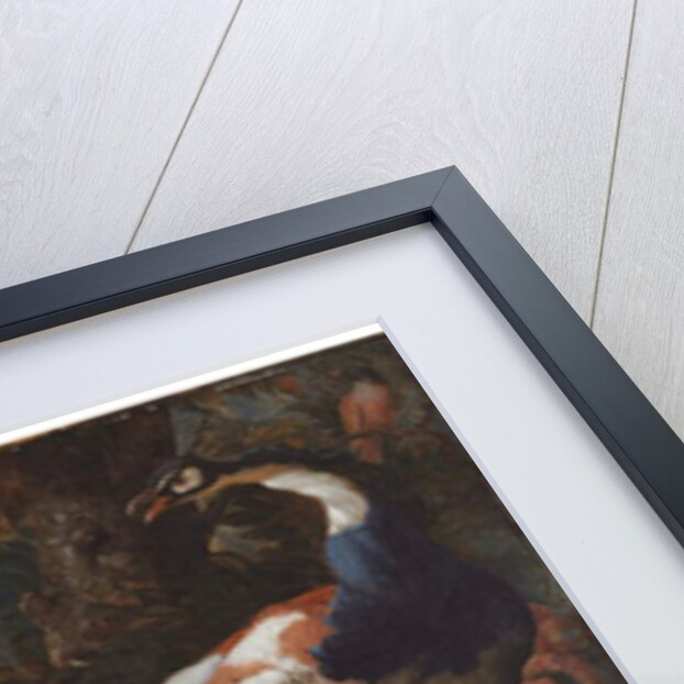 A peacock, poultry and a magpie in a landscape, 1720 by Abraham Bisschop