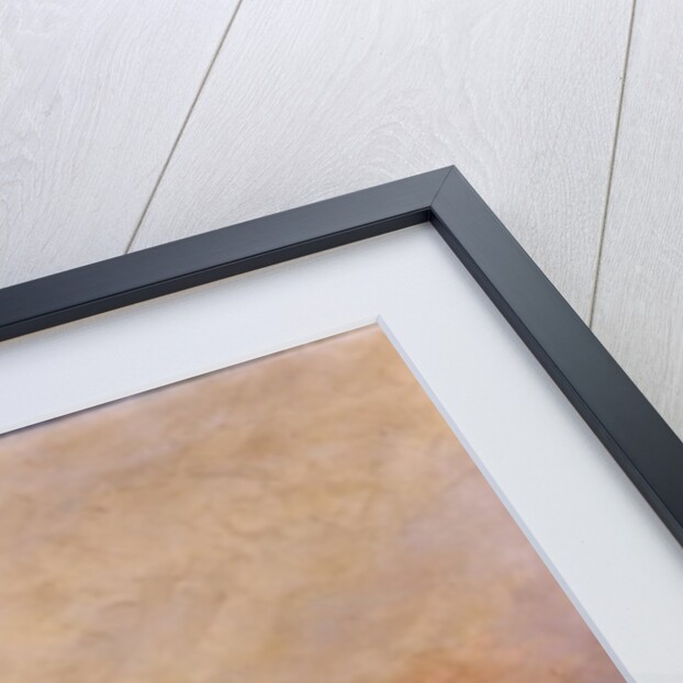 Silent Evening, 1895 by Alexander Williams