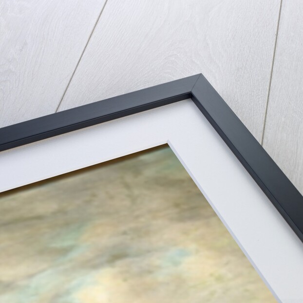 Chinese Fishing Vessels, Shanghai, c.1857 by Qua Chow