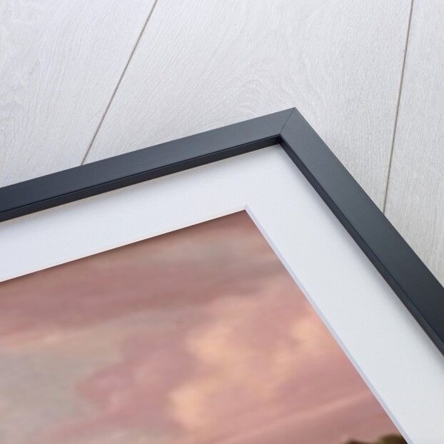 The Shanghai Regatta with a View of the Bund, c.1850 by School Chinese