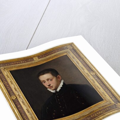 Portrait of a boy, bust-length, in a black doublet with a white collar by Jacopo Robusti Tintoretto