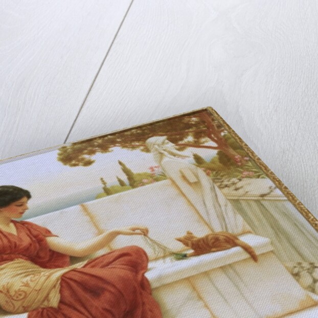 The Favourite, 1901 by John William Godward