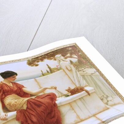 The Favourite, 1901 by John William Godward