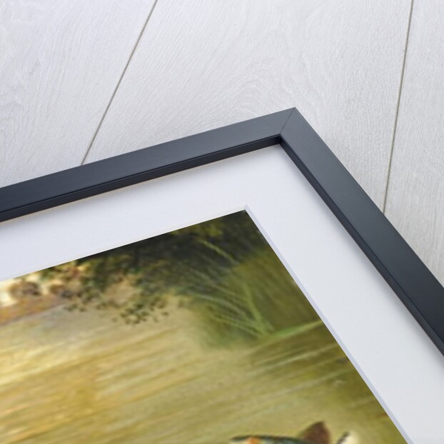 The four that got away! by A. Roland Knight