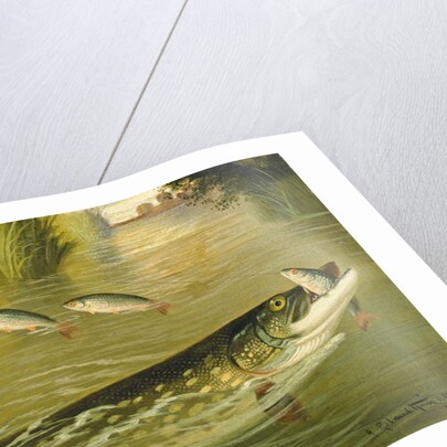 The four that got away! by A. Roland Knight