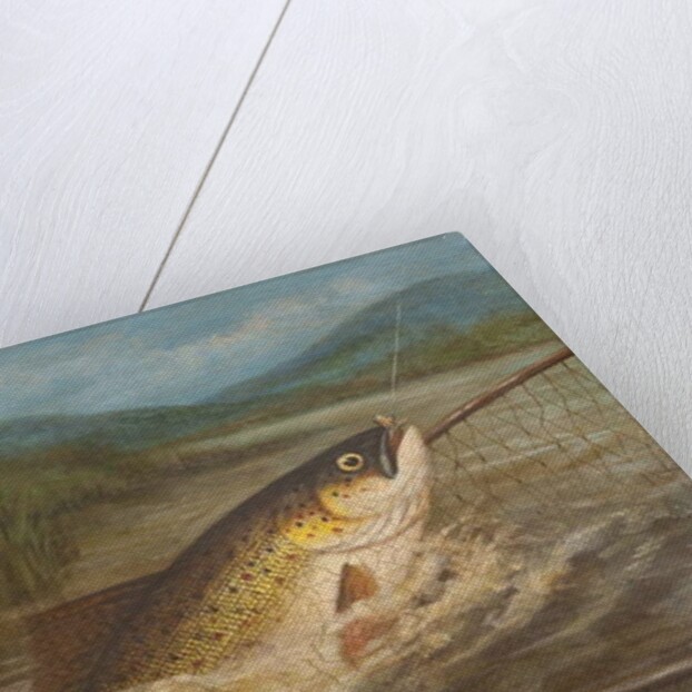 The fly fisherman's net by A. Roland Knight