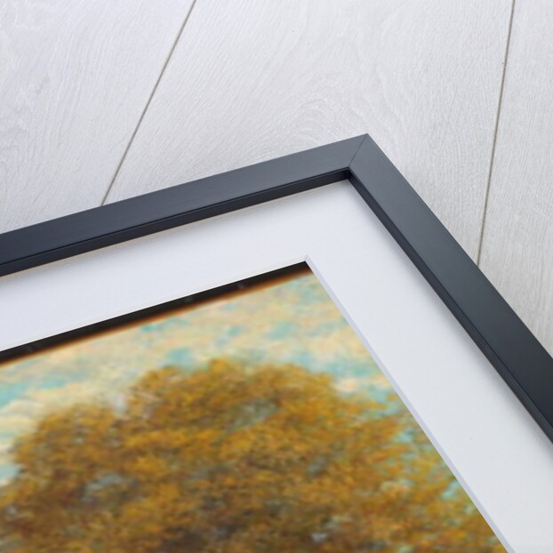 Le Miroir de Scey-en-Varais, 1864-68 by Gustave Courbet