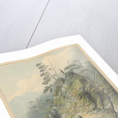 A View in Nootka Sound, 1784 by John Webber