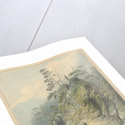 A View in Nootka Sound, 1784 by John Webber