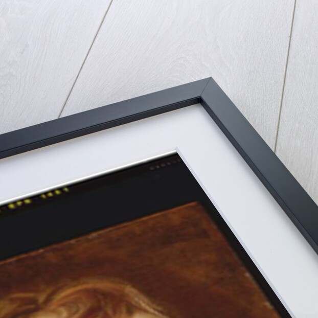 A bearded man, a study by Anthony van Dyck