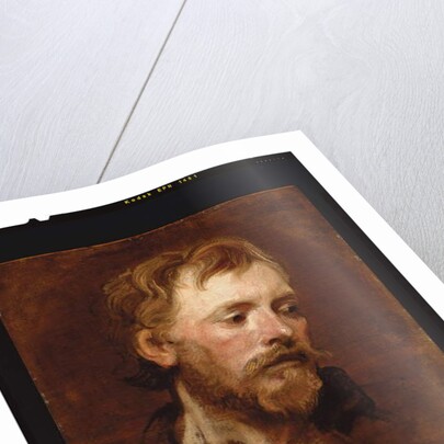 A bearded man, a study by Anthony van Dyck