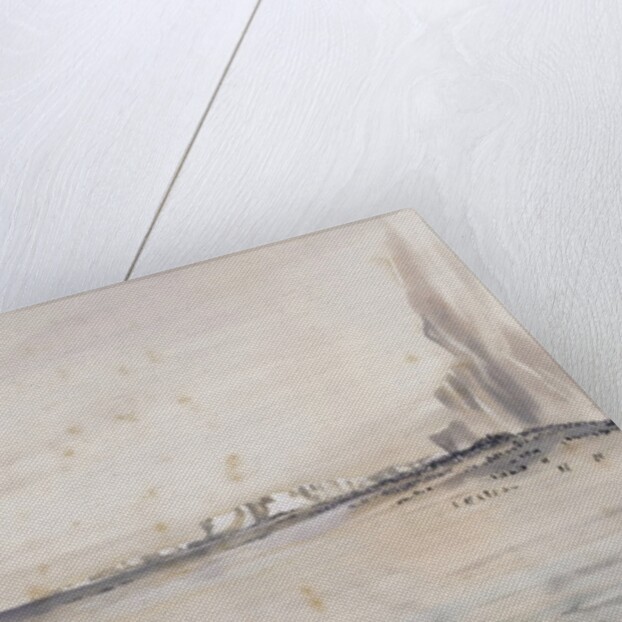 The Emperor Penguin Rookery, Cape Crozier by Edward Adrian Wilson