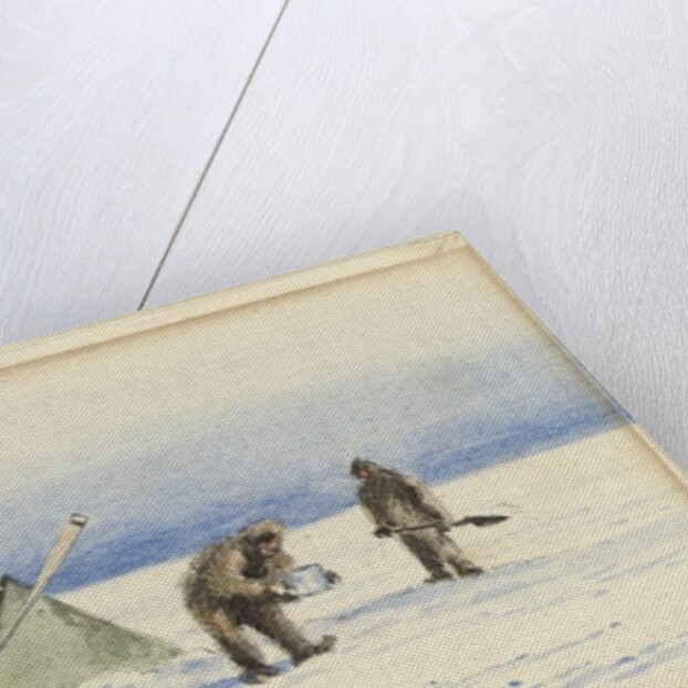 The sledge party to White Island, February 1902: Shackleton and Wilson making camp, 1902 by Edward Adrian Wilson