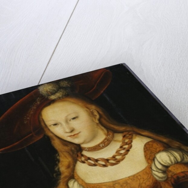 Portrait of a Young Lady, c.1350 by Lucas the Elder Cranach