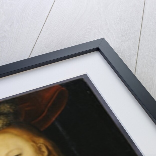 Portrait of a Young Lady, c.1350 by Lucas the Elder Cranach