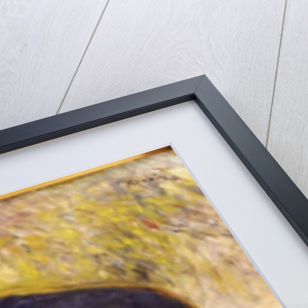 Portrait of Mademoiselle Demarsy, 1882 by Pierre Auguste Renoir