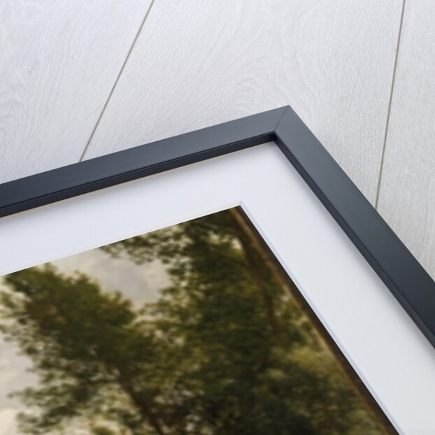 La Mare aux Fees by Pierre Auguste Renoir