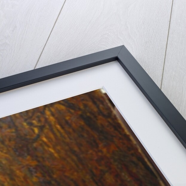 The Pond at Versailles in Autumn, 1916 by Henri Eugene Augustin Le Sidaner