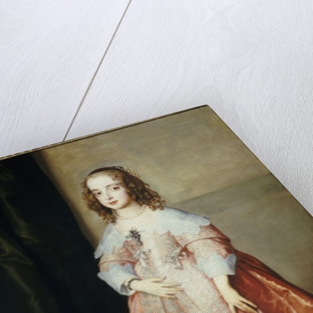 Portrait of Mary, Princess Royal, c.1641 by Anthony van Dyck