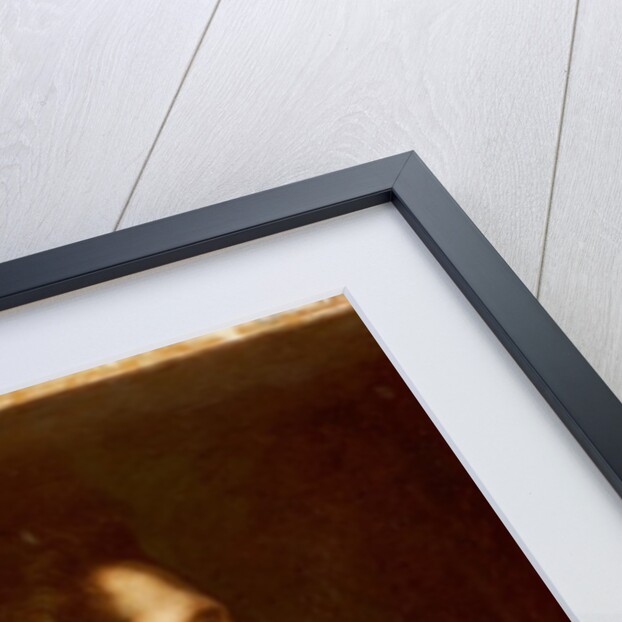 Portrait of a general by Anthony van Dyck