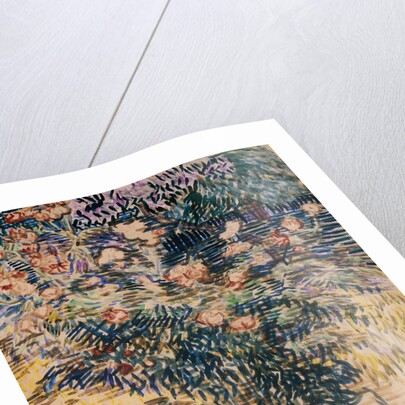 Oleanders, the Hospital Garden at Saint-Remy, 1889 by Vincent van Gogh