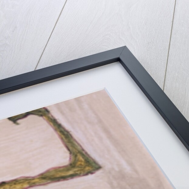 Anarchist, c.1909-10 by Egon Schiele