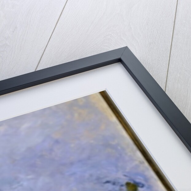 Purple Irises, 1914-17 by Claude Monet