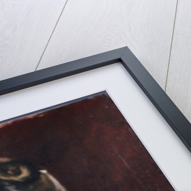 Portrait of Mademoiselle Suzanne Poirson, 1884 by John Singer Sargent