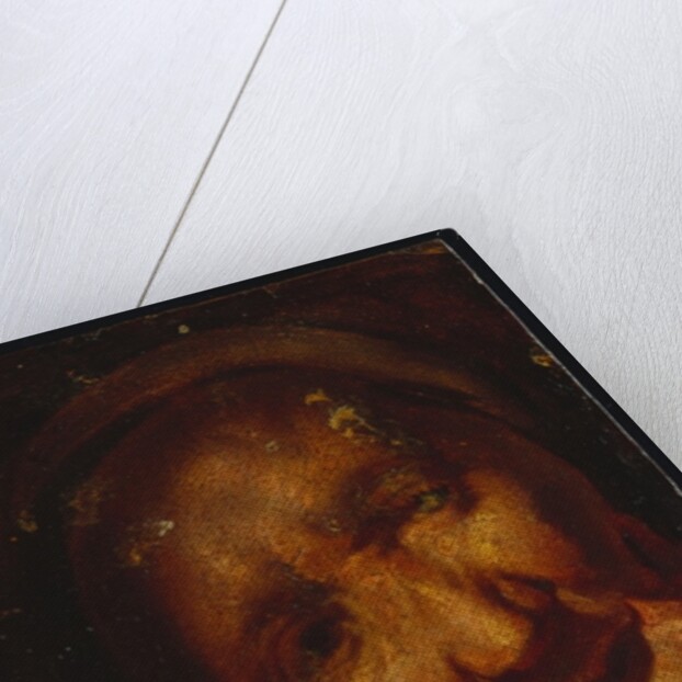 The Head of an Old Woman - A Sketch by Jacob Jordaens