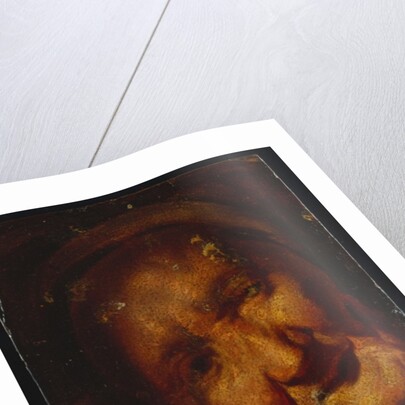 The Head of an Old Woman - A Sketch by Jacob Jordaens