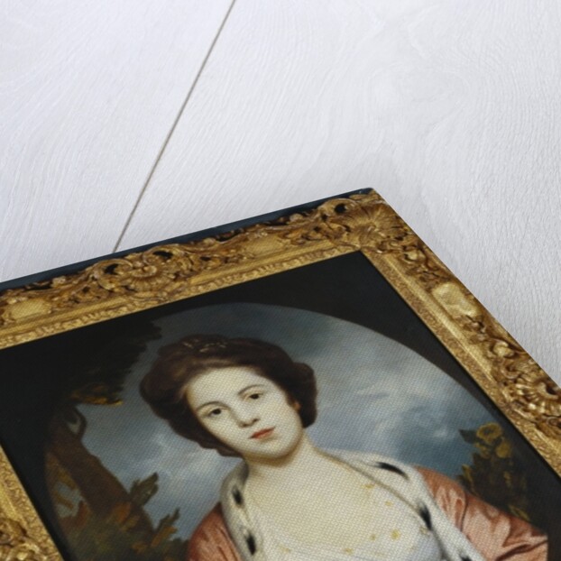 Portrait of Esther, Lady Wray, wearing a white dress, a gold and pink ermine-lined cloak, a landscape beyond by Joshua Reynolds