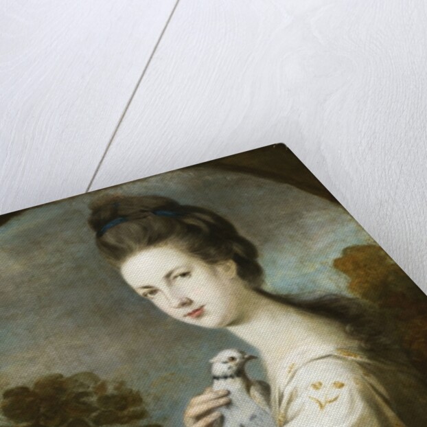 Portrait of Miss Juliet Langton standing, half length, 1764 by Joshua Reynolds