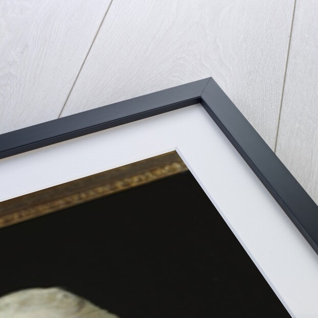 Portrait of George Augustus, 3rd Viscount Howe, half length, wearing the uniform of the 1st Guard by Joshua Reynolds