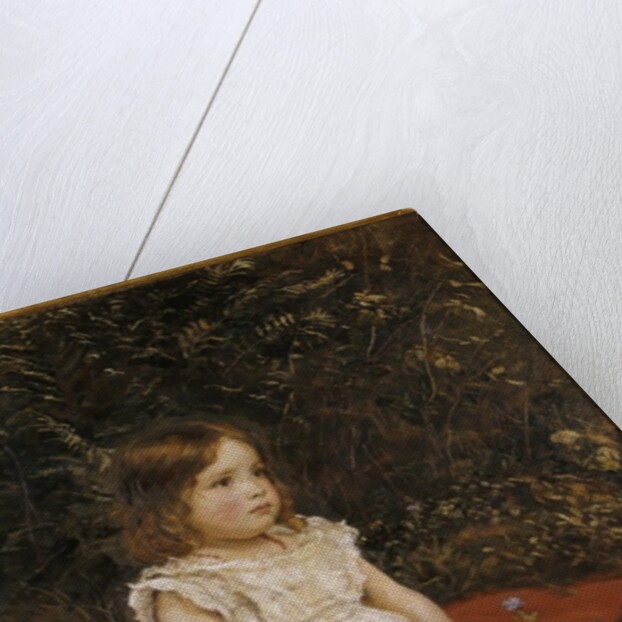 Portrait of Eveline Lees as a child, 1875 by John Everett Millais