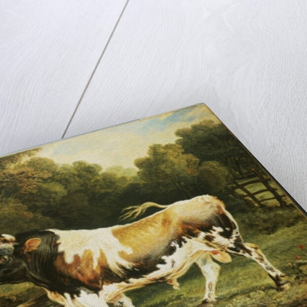 A Bull of the Alderney Breed by James Ward