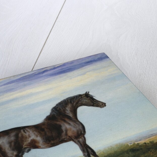 Smolensko, 1826 by James Ward