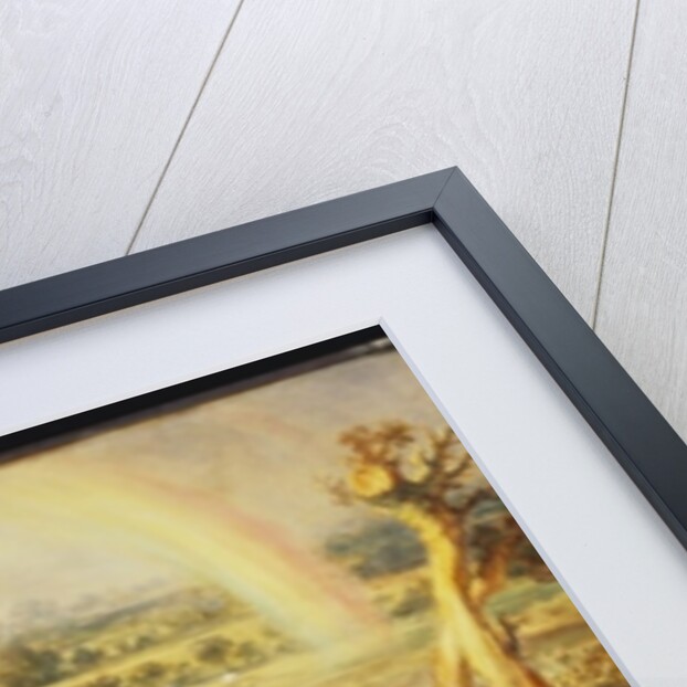 The Rainbow by James Ward