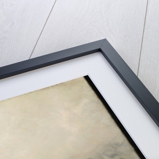 The Terrace of the Trafalgar Tavern, Greenwich, c.1878 by James Jacques Joseph Tissot