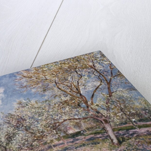 Spring at Veneux, 1880 by Alfred Sisley