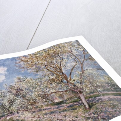 Spring at Veneux, 1880 by Alfred Sisley