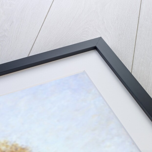 First Frost, 1876 by Alfred Sisley