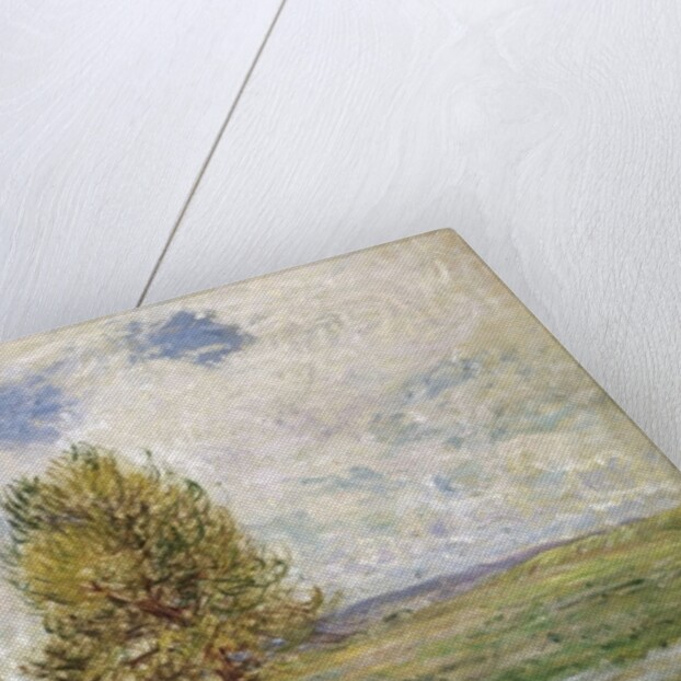 La Plaine de Veneux-Nadon, 1881 by Alfred Sisley