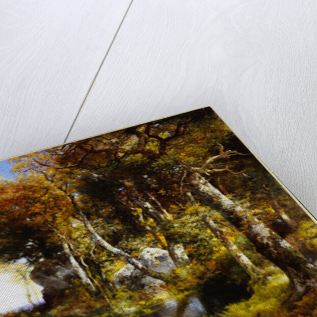 The Woodland Pool, 1909 by Thomas Moran