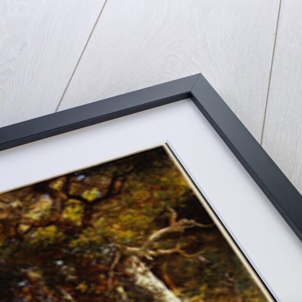 The Woodland Pool, 1909 by Thomas Moran