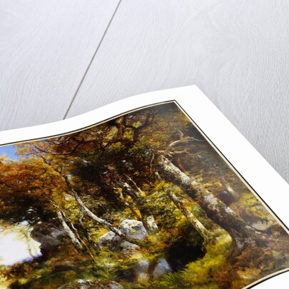 The Woodland Pool, 1909 by Thomas Moran